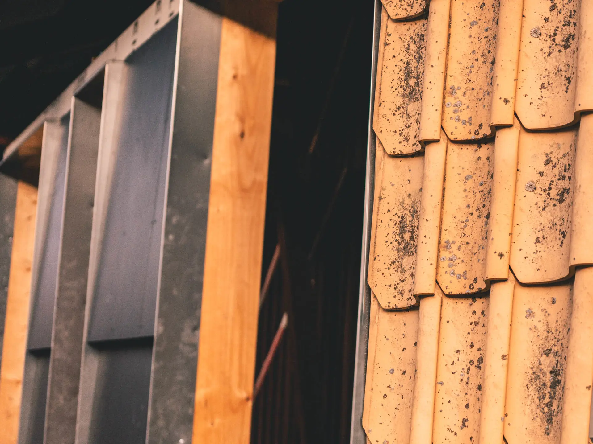 Dsc01956 February 17 2022 Edit